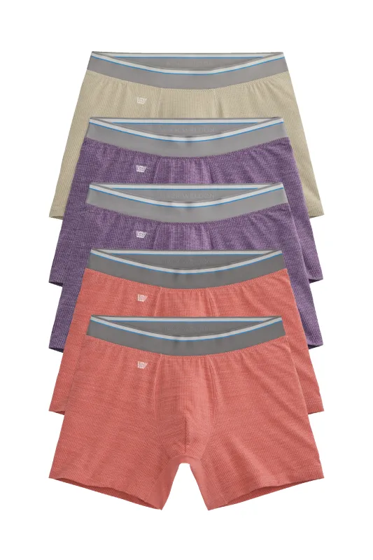 5-Pack AIRKNITˣ Boxer Briefs Holiday Vacation sold by Mack Weldon