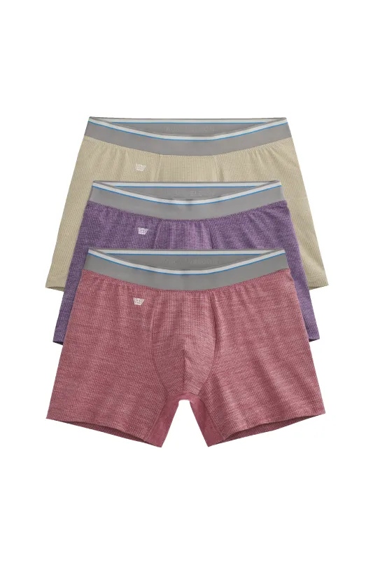 3-Pack AIRKNITˣ Boxer Briefs Port & Pudding sold by Mack Weldon
