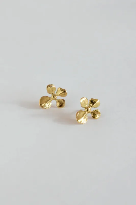 ORAC Virgo Buds Studs Golden sold by Eliza Faulkner