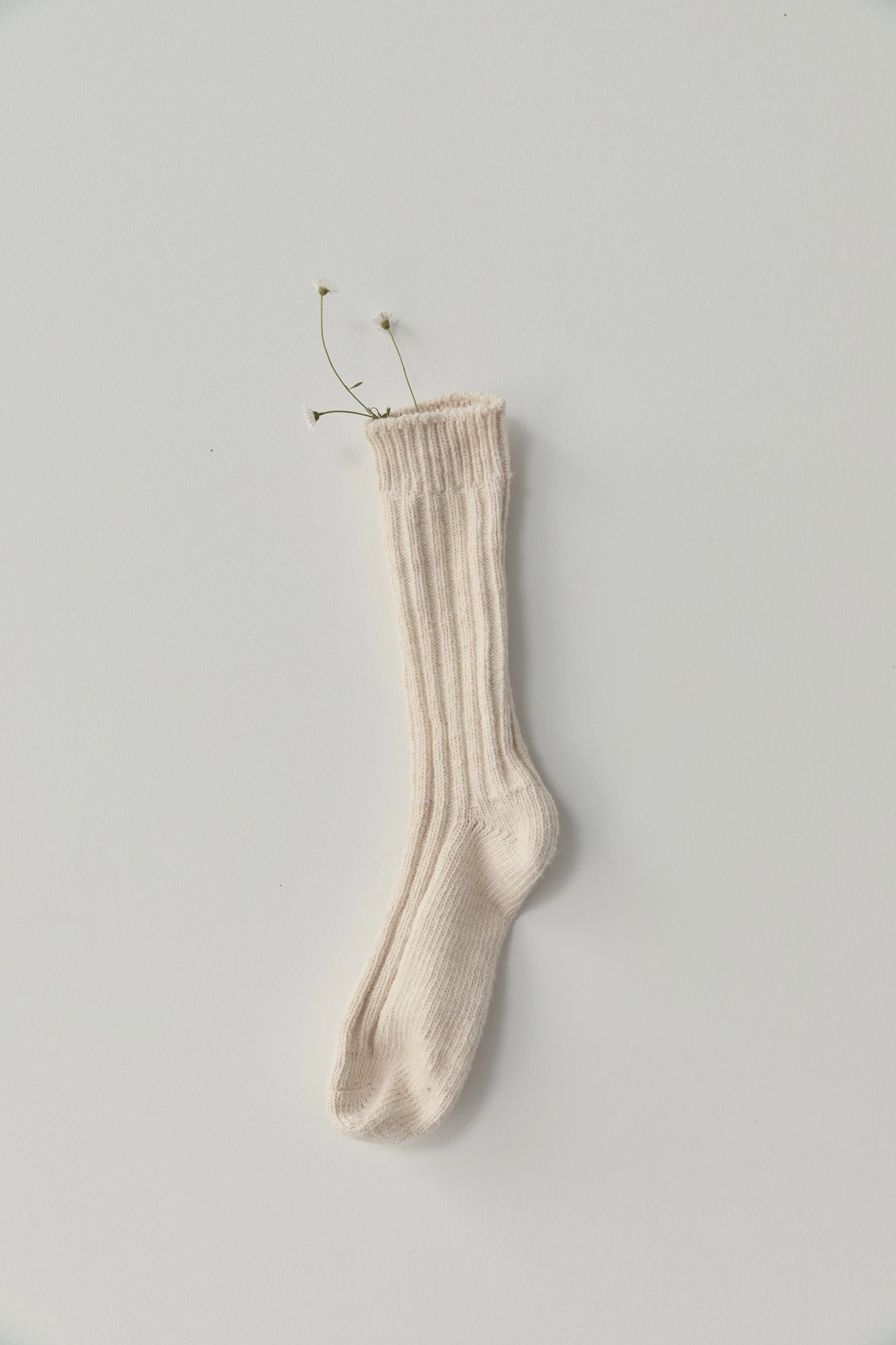 the woven sock - cream sold by Deiji Studios product image thumbnail 5