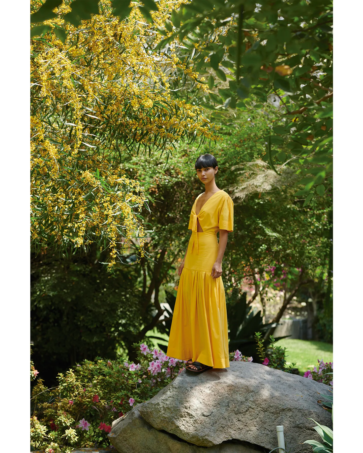 COLIBRI DRESS | YELLOW sold by ESCVDO