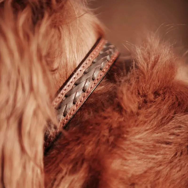 Leather Dog Collar made by Welligogs