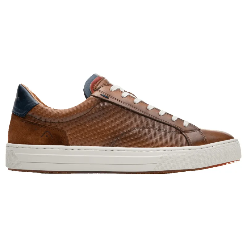 Ambitious Anopolis Leather Trainers sold by Coes