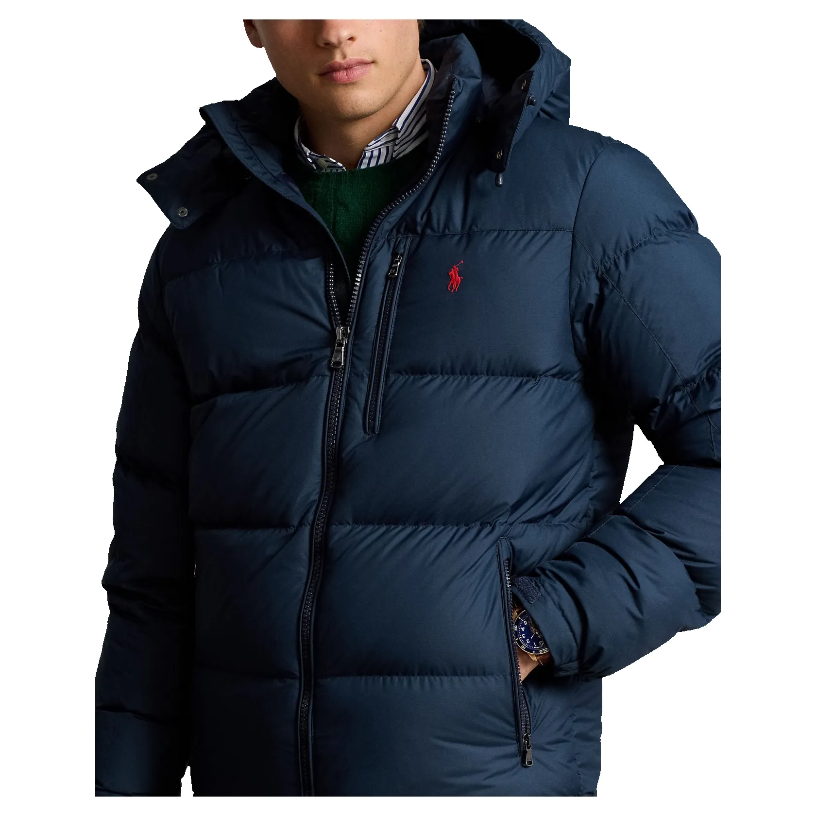 Polo Ralph Lauren Insulated Bomber Jacket sold by Coes product image thumbnail 5