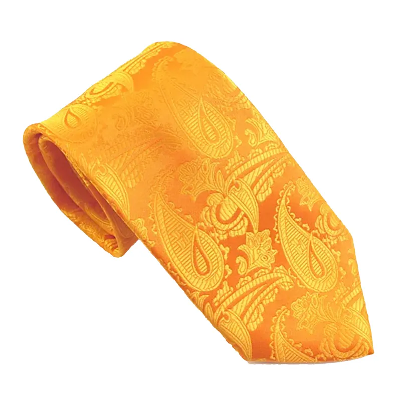 Van Buck Paisley Tie by Van Buck in Orange sold by Coes