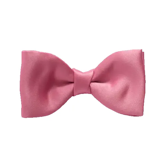 Van Buck Satin Bow Tie sold by Coes product image thumbnail 5