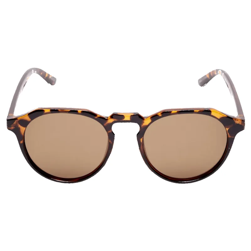 Selected Skyler Sunglasses sold by Coes