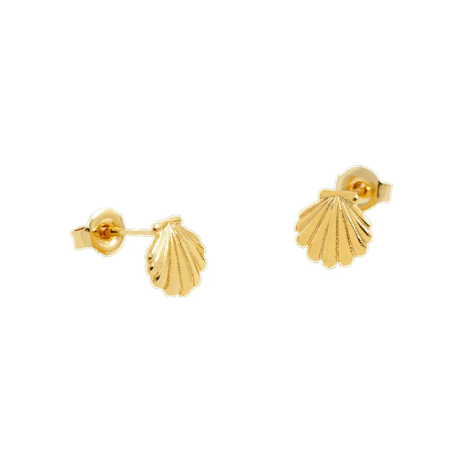 Estella Bartlett Puffy Seashell Stud Earrings sold by Coes