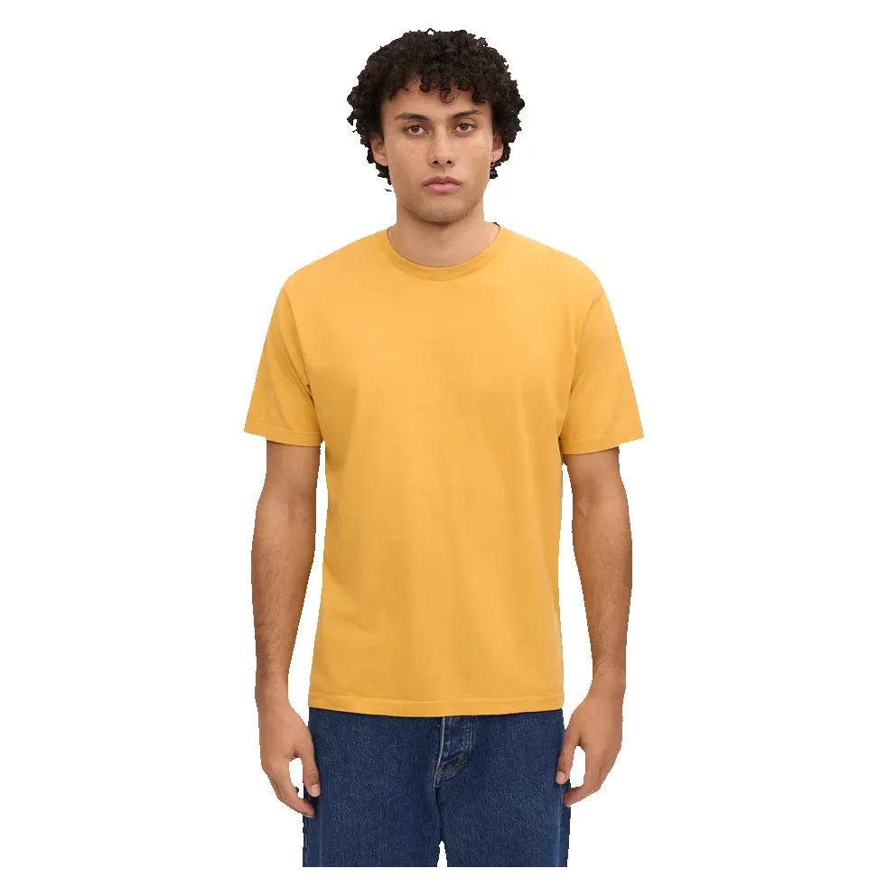 Colourful Standard Classic Organic T-shirt sold by Coes product image thumbnail 2