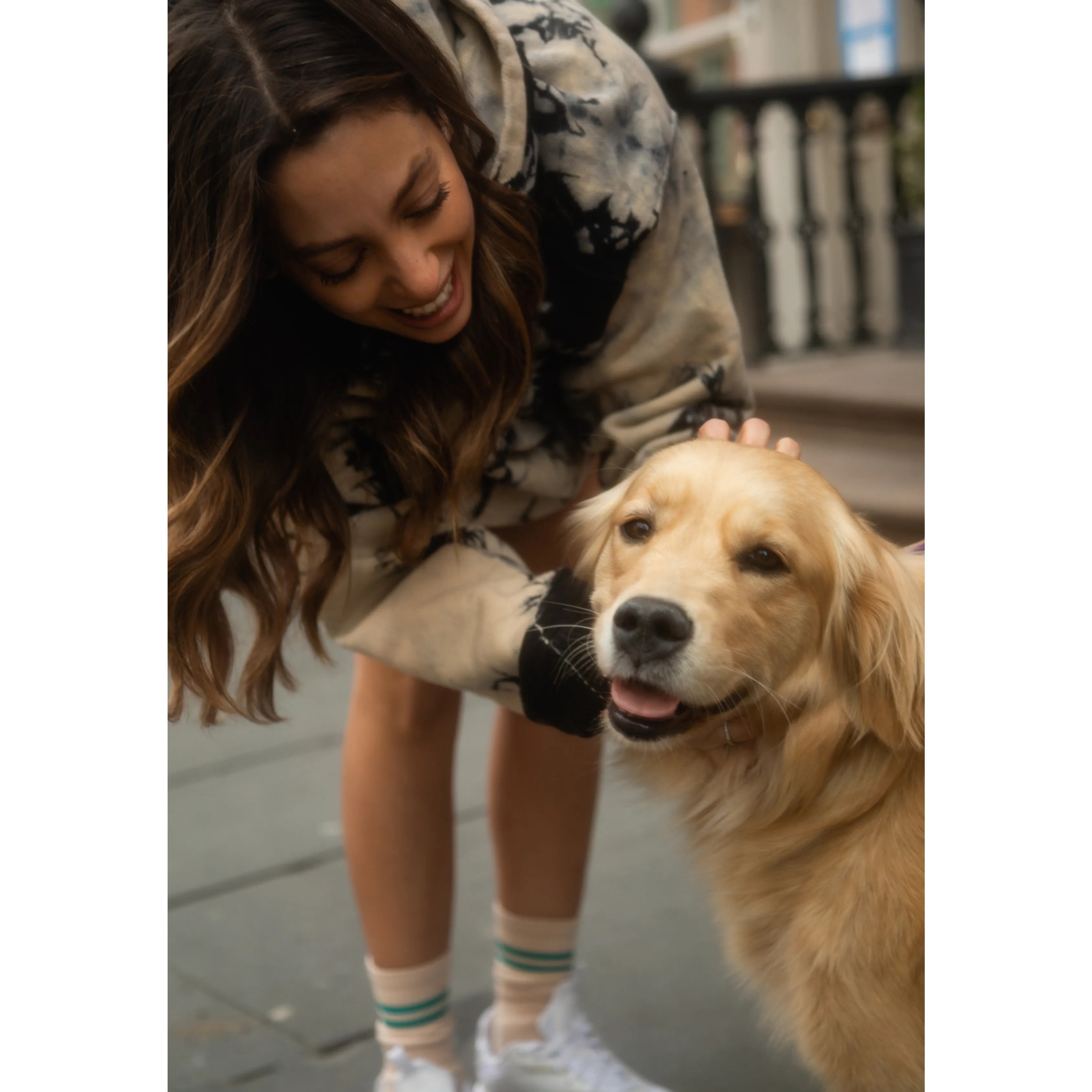 dog town classic tube sock sold by friend + folk product image thumbnail 5