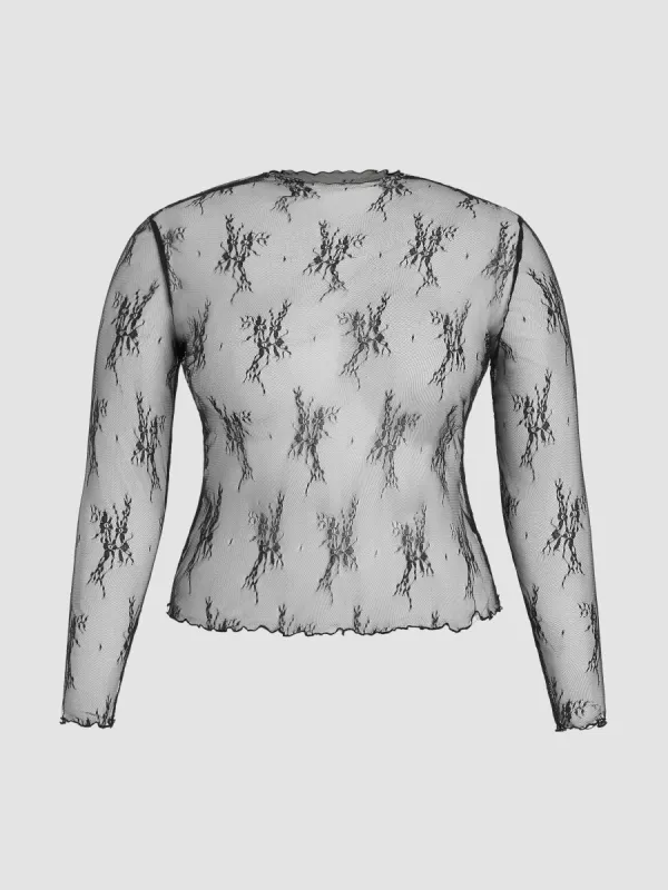 Lace Long Sleeve Top Curve & Plus sold by Cider