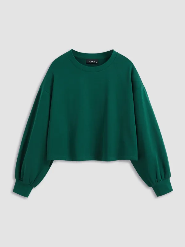 Cotton-blend Round Neckline Solid Long Sleeve Oversized Sweatshirt Curve & Plus sold by Cider
