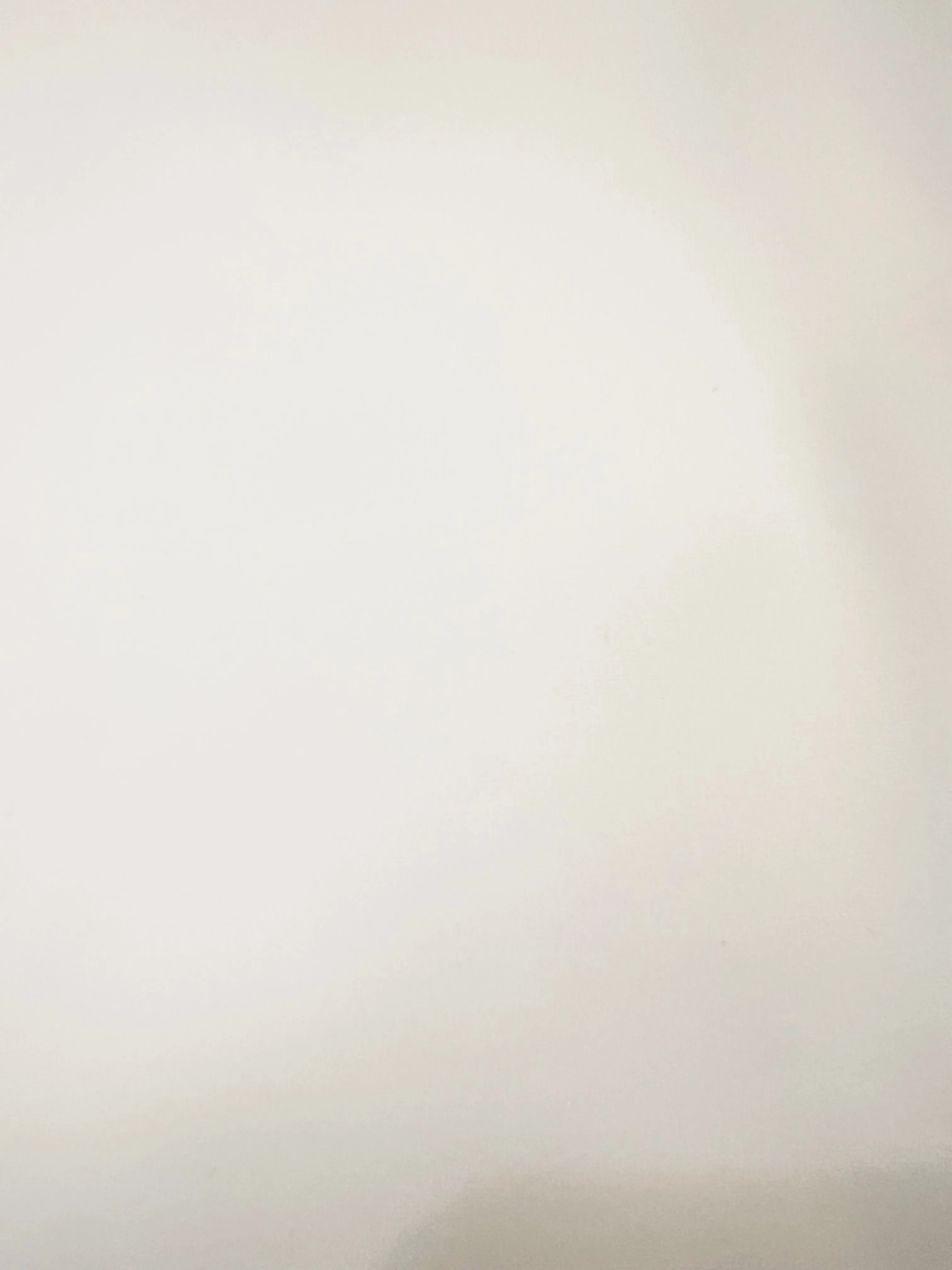 Holly Crop Top - White sold by Brakefields