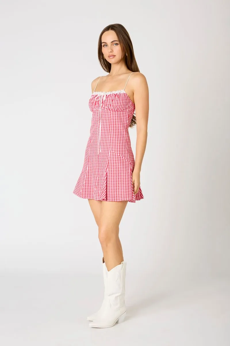 Milkmaid Gingham Mini Dress sold by Cotton Candy LA product image thumbnail 2
