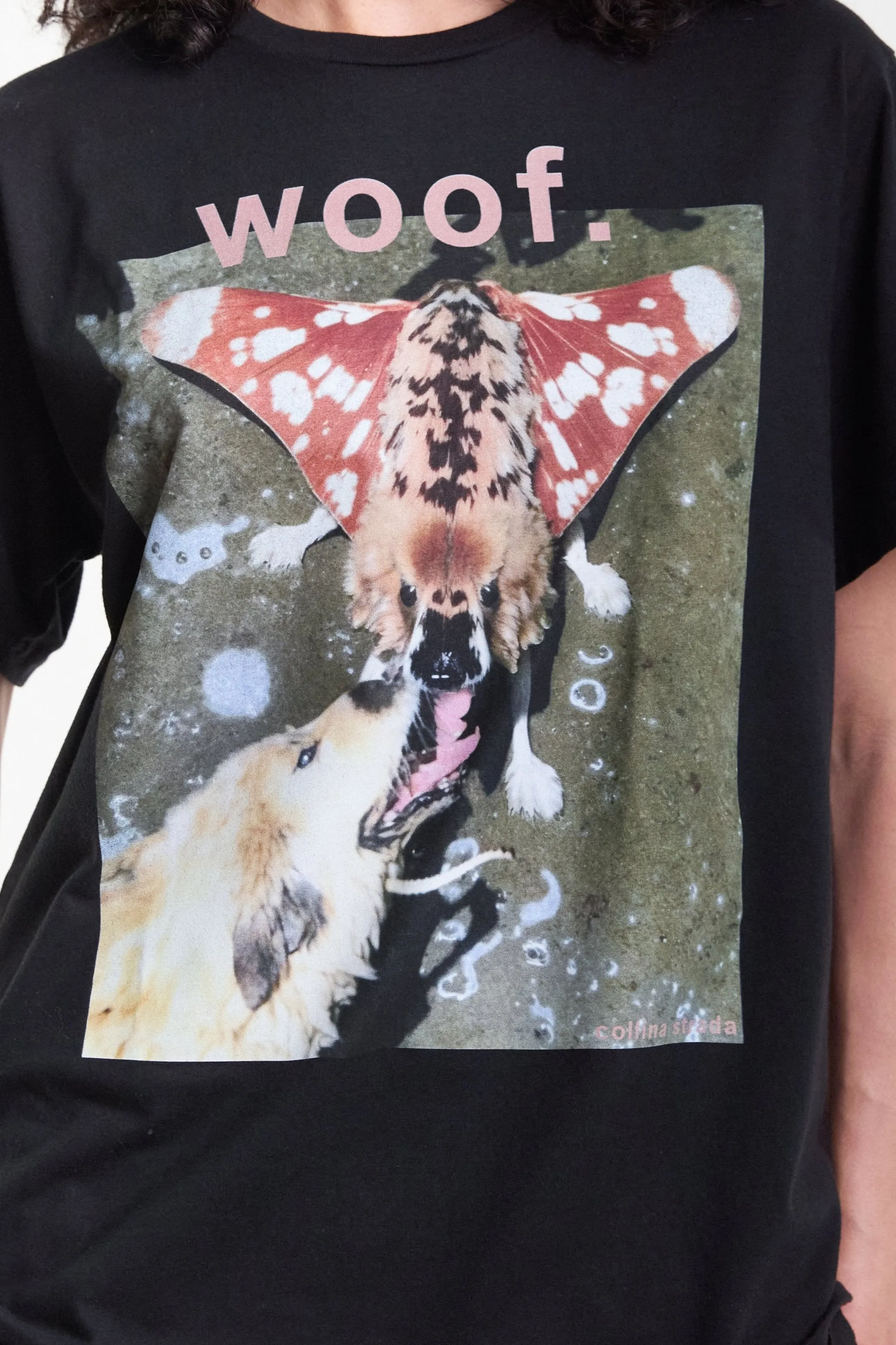 Graphic Tee - Moth Woof sold by Social Studies Shop product image thumbnail 4
