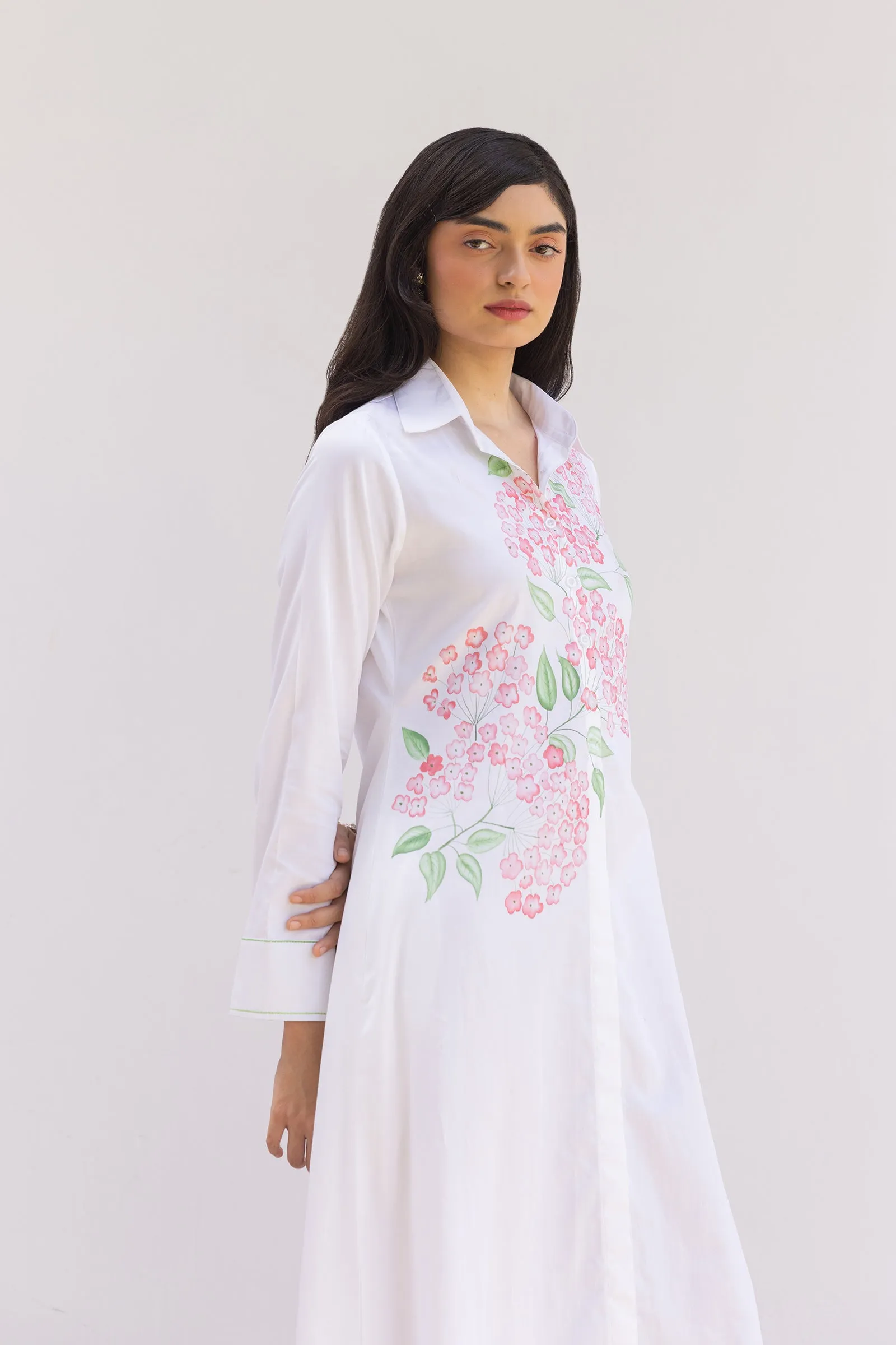 PRIMEROSE PAINTED SHIRT DRESS - FULL LENGTH sold by Folklore Shop product image thumbnail 2