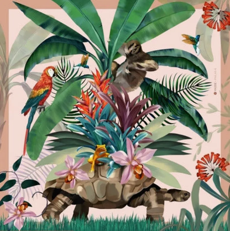 traveling turtle scarf sold by Folklore Shop