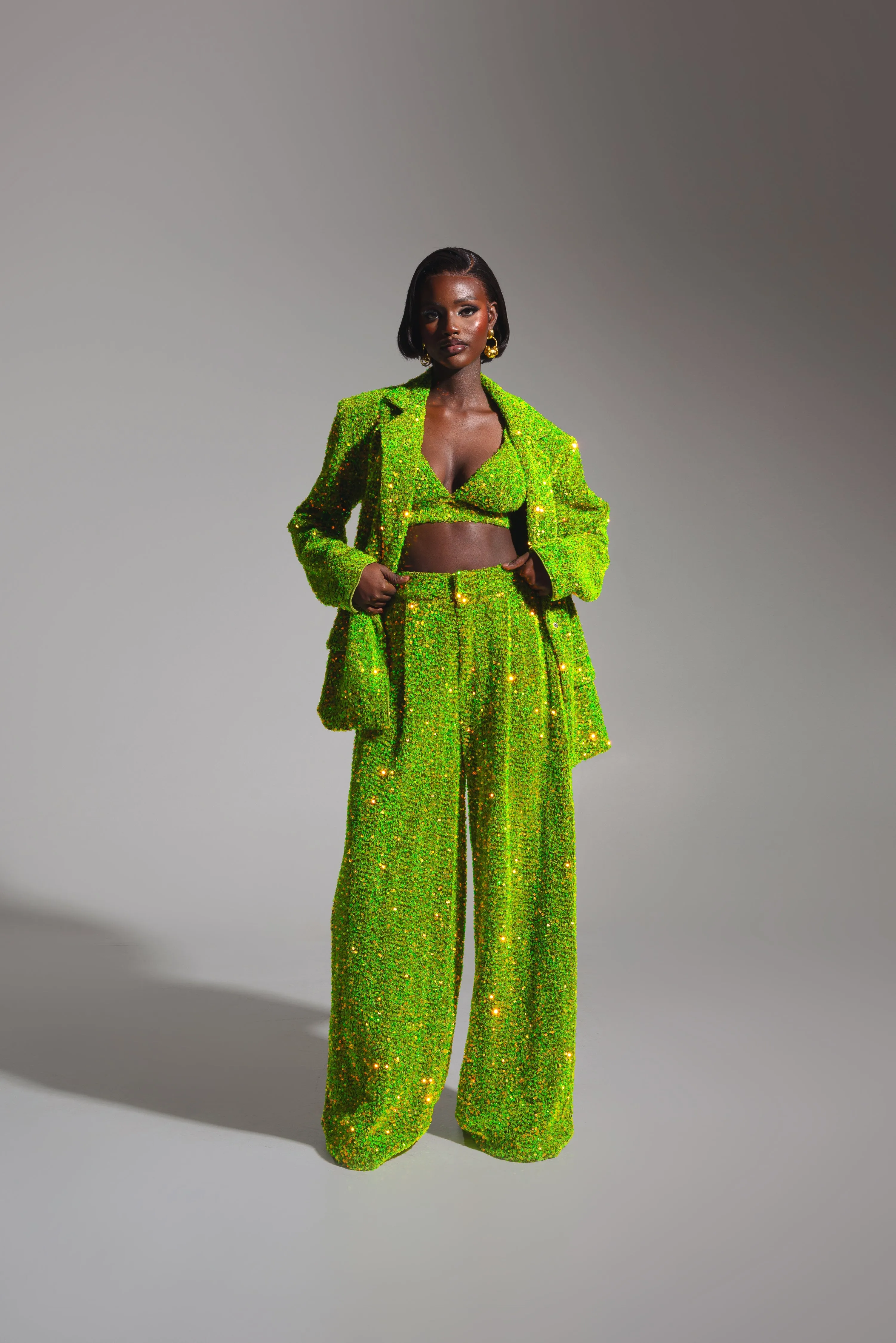 LIZA Sequin Pants in OLIVINE sold by Folklore Shop product image thumbnail 4