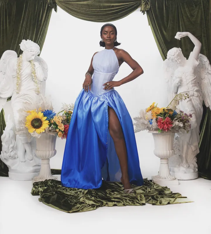 THE SWAN OMBRÉ DRESS sold by Folklore Shop