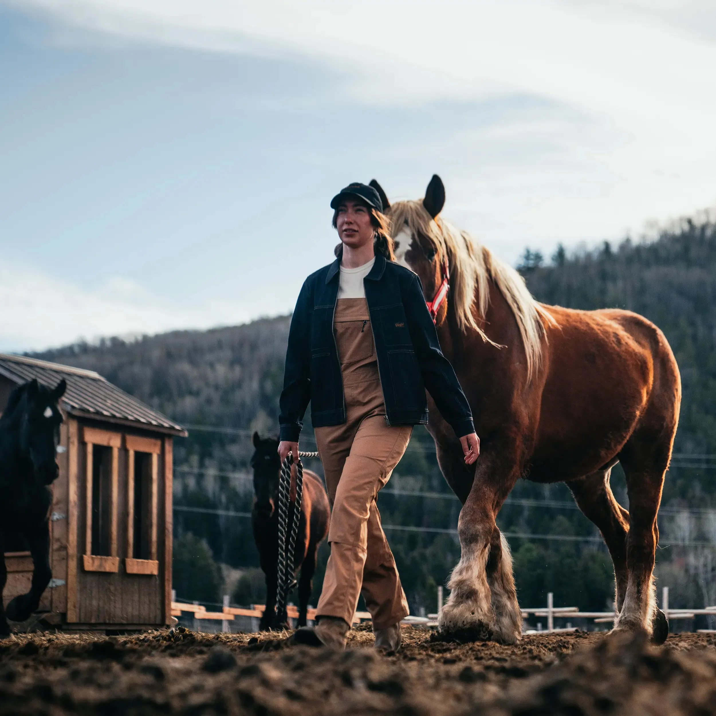 W's Light Work Overalls sold by Hooke product image thumbnail 2