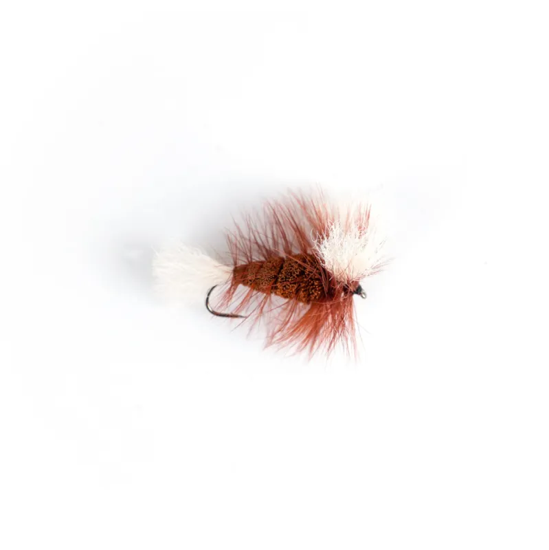 Burned Orange - White Tail - Brown Hackle (Wulff Bomber) sold by Hooke
