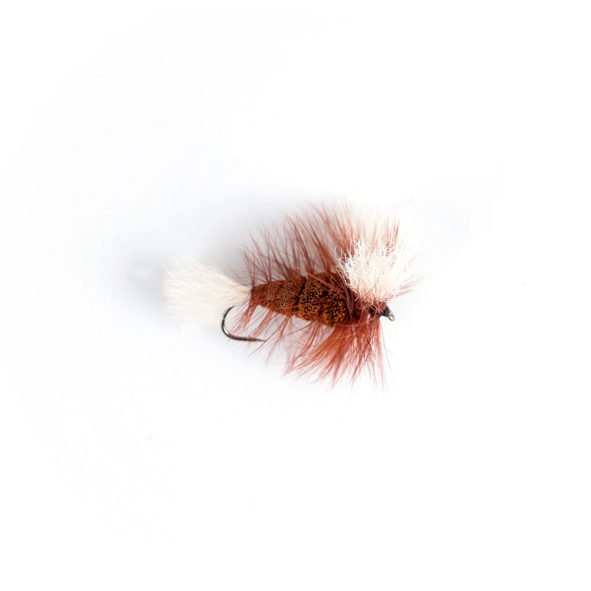 Burned Orange - White Tail - Brown Hackle (Wulff Bomber) sold by Hooke
