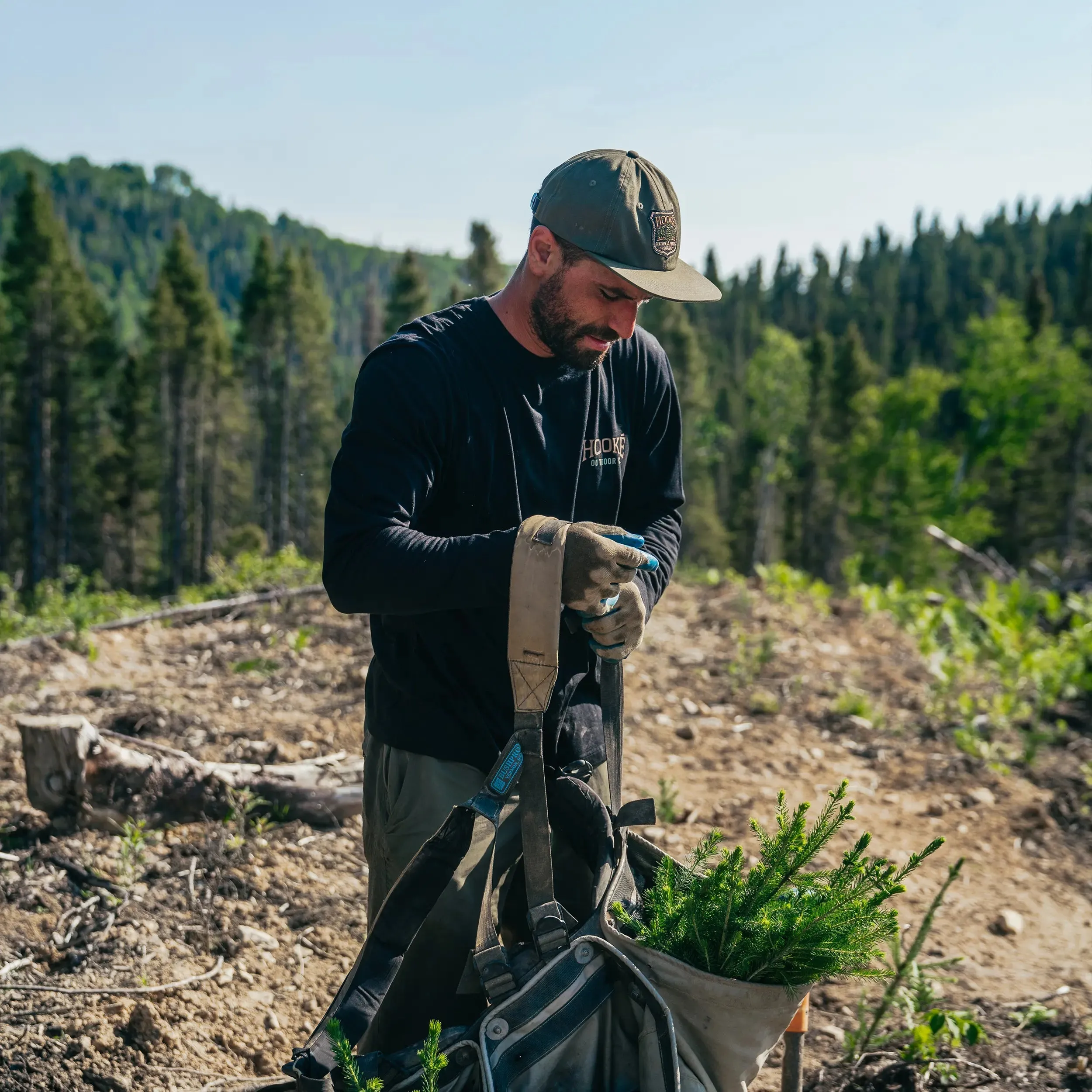 M's Pine Trees Long Sleeve Tee sold by Hooke product image thumbnail 4