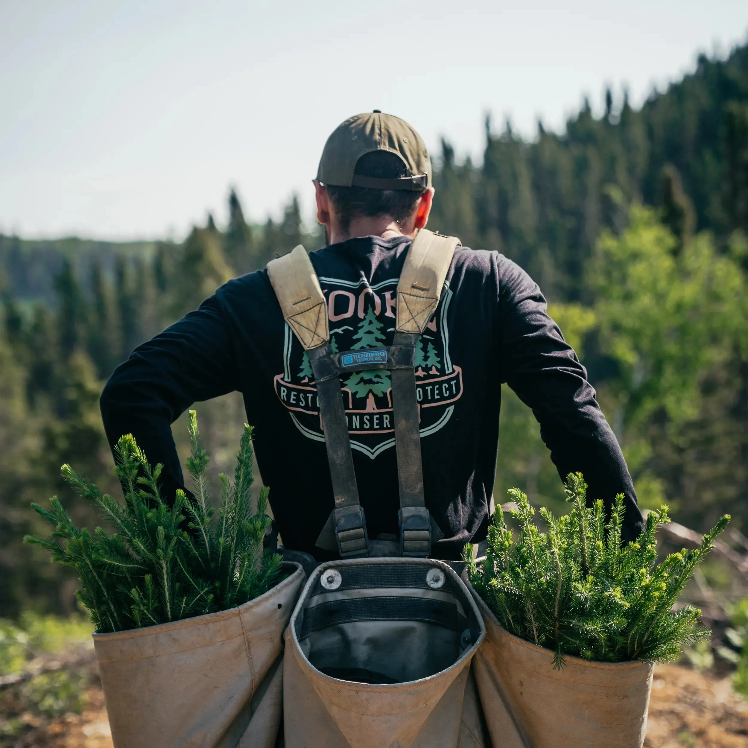 M's Pine Trees Long Sleeve Tee sold by Hooke product image thumbnail 2