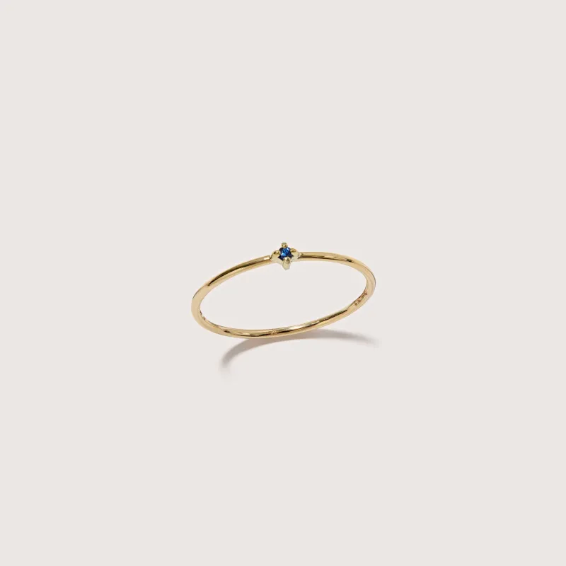 Ceylon Sapphire Bamboo Ring sold by Otiumberg