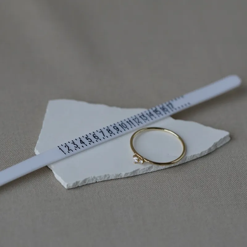 Ring Sizer made by Otiumberg