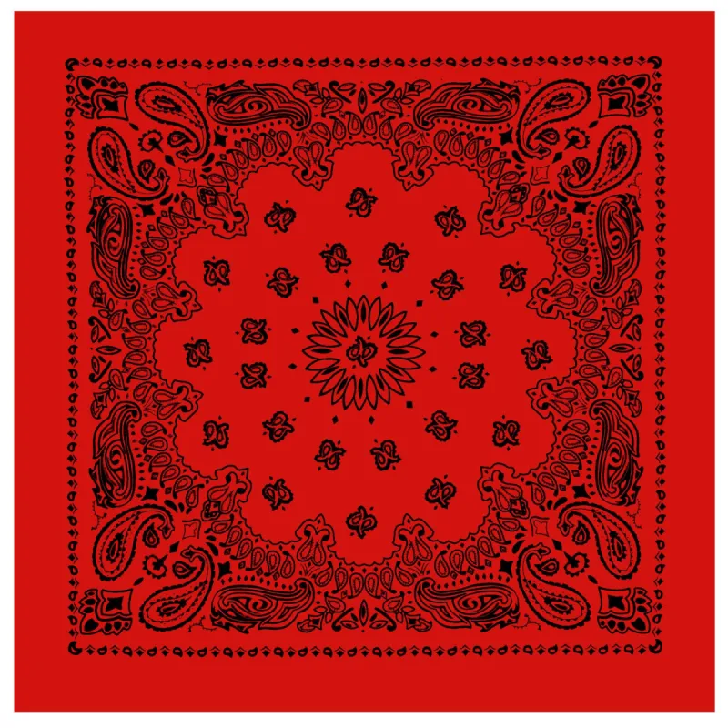 Trainmen Paisley Bandana - 22" X 22" - Red / Black by Rothco sold by Legendary USA