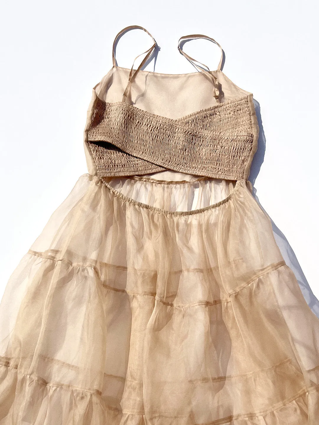 Lucille Dress - Beige Silk Organza sold by Lisa Says Gah product image thumbnail 4