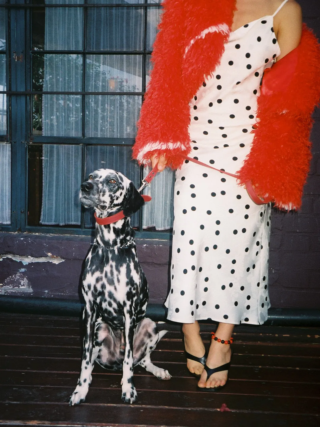 Spun Jacket - Red sold by Lisa Says Gah product image thumbnail 5