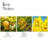 Sunflowers Sunrise Eau de Toilette 100ml sold by Edgars