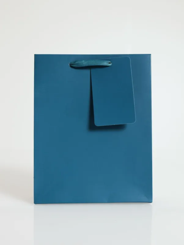 Ladies Plain Gift Bag-Small/Tall - Teal sold by Edgars 