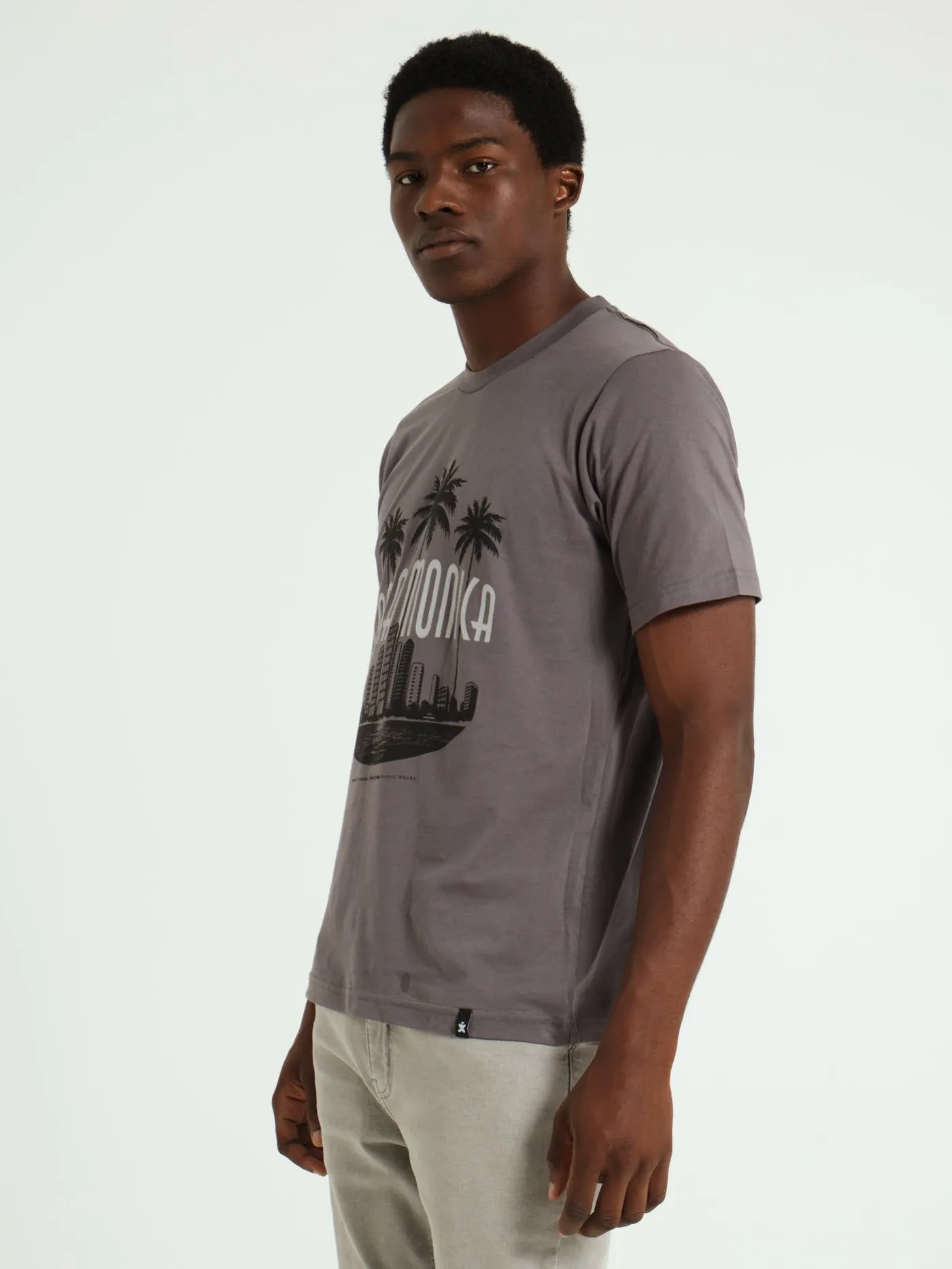 Santa Monica Palm City Tee - Gunmetal sold by Edgars product image thumbnail 2