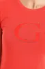 Short Sleeve 1981 Tee - Red sold by Edgars 