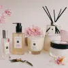 Peony & Blush Suede Cologne sold by Edgars
