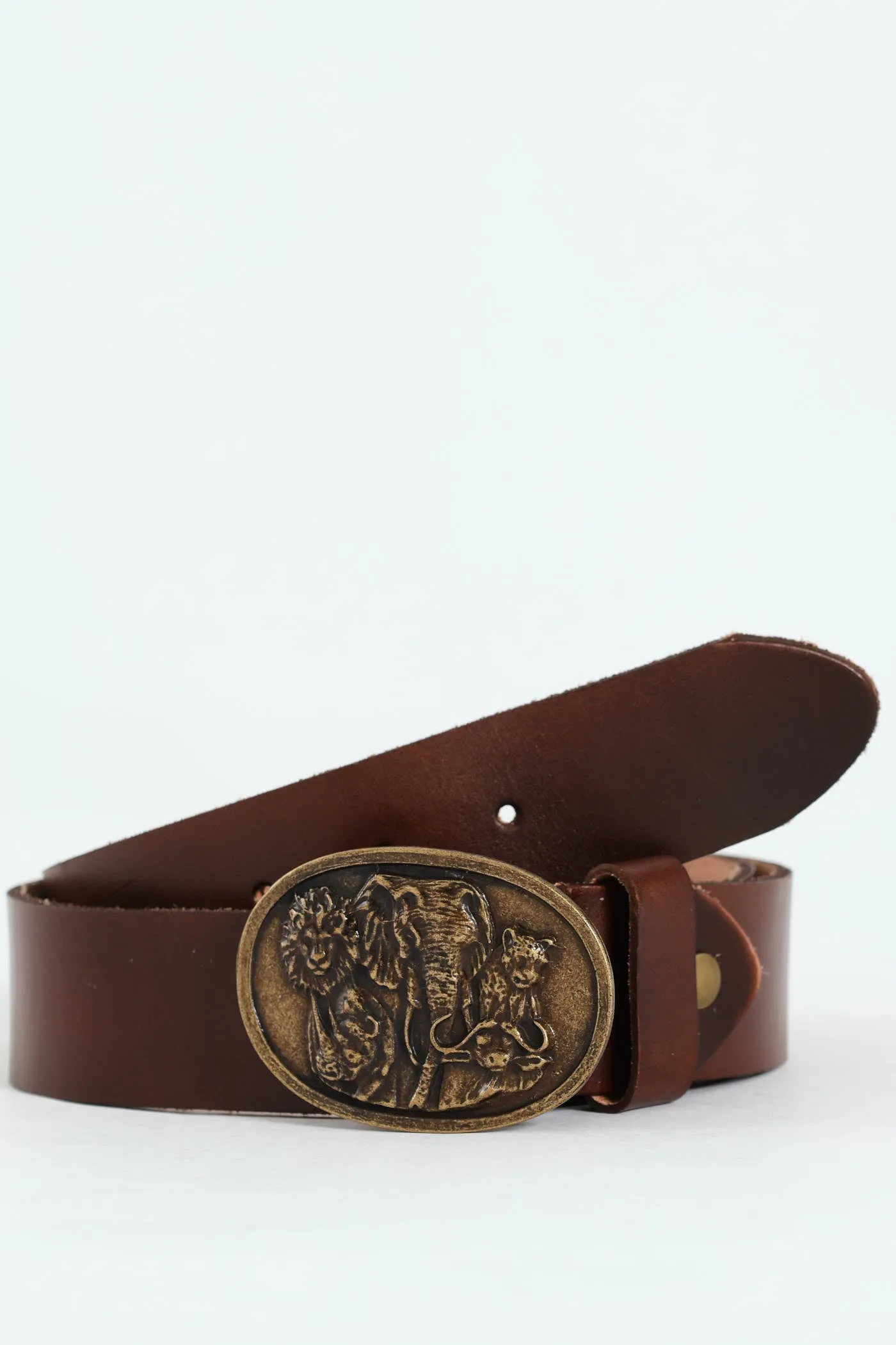 Big Five Leather Belt - Brown sold by Edgars product image thumbnail 3