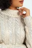 Metallic Polo Neck Knit Sweater - Silver sold by Edgars