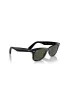 Wayfarer Green Lens Sunglasses - Black sold by Edgars
