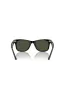 Wayfarer Green Lens Sunglasses - Black sold by Edgars