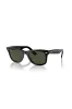 Wayfarer Green Lens Sunglasses - Black sold by Edgars