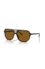 Bill One Sunglasses - Tortoise Shell sold by Edgars