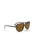 Bill One Sunglasses - Tortoise Shell sold by Edgars