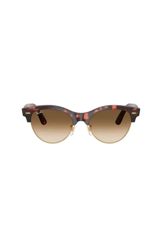 Clubmaster Wayfarer Sunglasses - Brown made by Ray-Ban