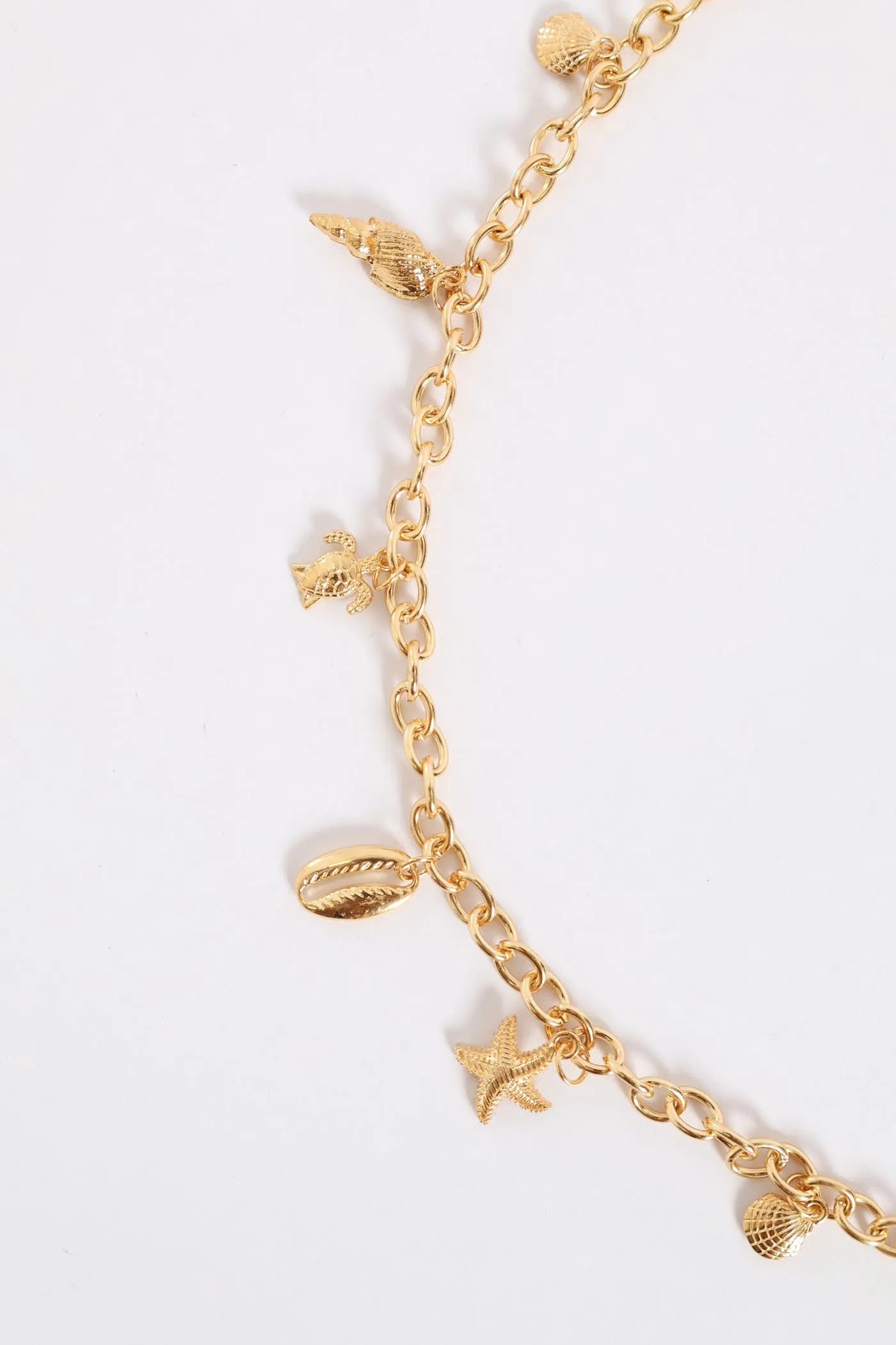 Shell Chain Belt - Gold sold by Edgars product image thumbnail 2