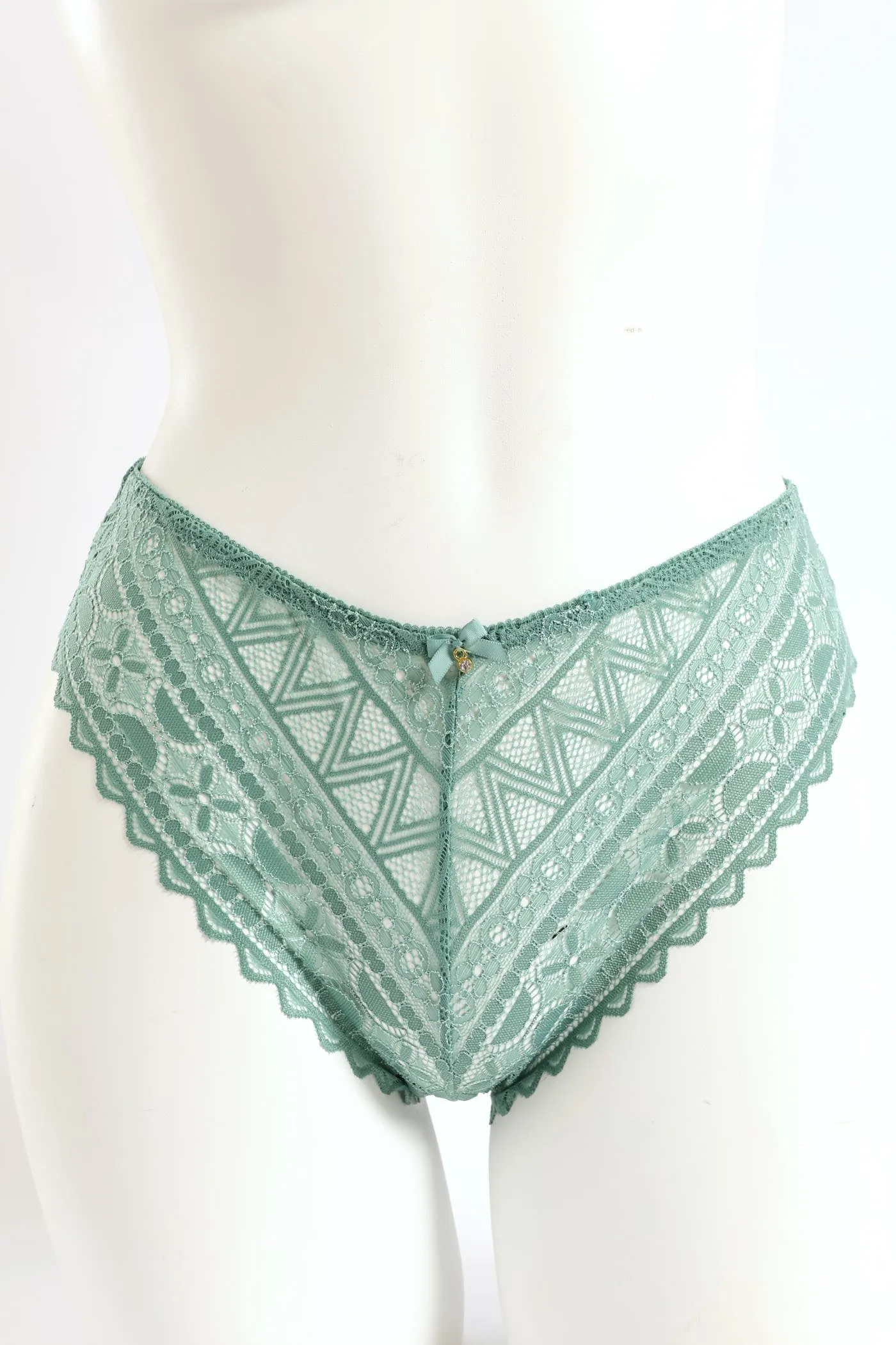 Full Lace Bikini Panty - Sage sold by Edgars