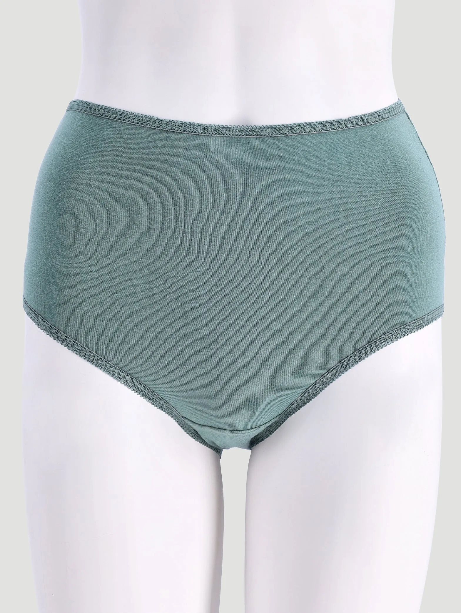 3 Pack Cotton Stretch Brief Panties - Navy/Rust/Sage sold by Edgars product image thumbnail 2
