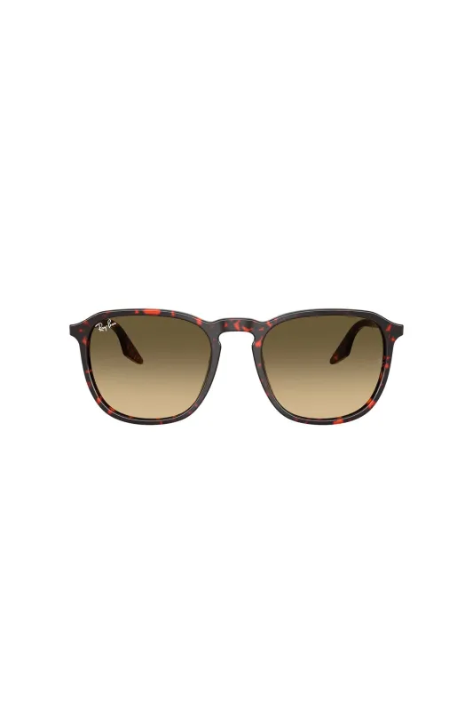 Havana Turtle Sunglasses - Red made by Ray-Ban